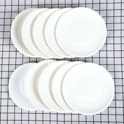 disposable paper plate for dinner dish plate